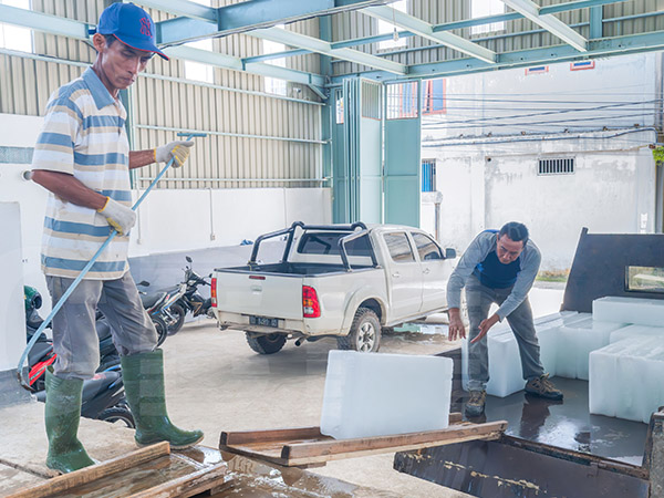 2 x 15-тонные машины для производства льда с прямым охлаждением для клиента из Индонезии