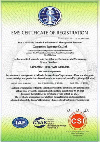 Система управления окружающей средой (EMS)