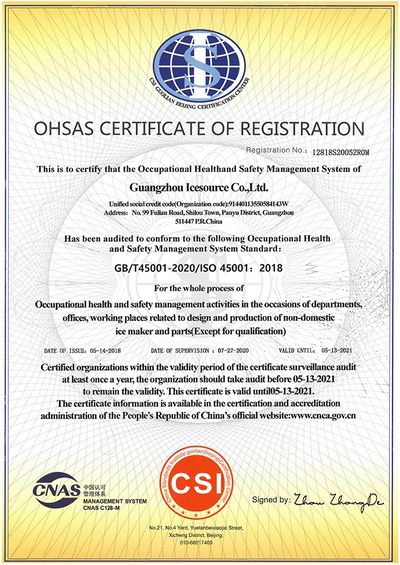 Система менеджмента охраны труда и производственной безопасности (OHSMS)